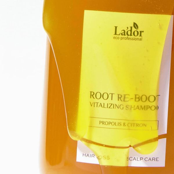 Шампунь Lador Root Re-Boot Vitalizing Shampoo 300 ml 00013 фото